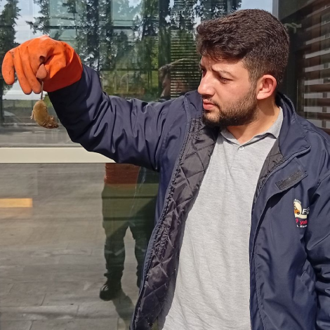 Fare İlaçlama